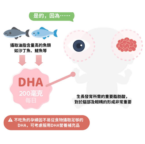 DHA是胎兒生長發育所需的重要脂肪酸，尤其在大腦和眼睛組織中的DHA比例最高