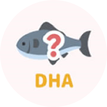 DHA孕婦何時吃?懷孕早期就該開始補充DHA嗎?