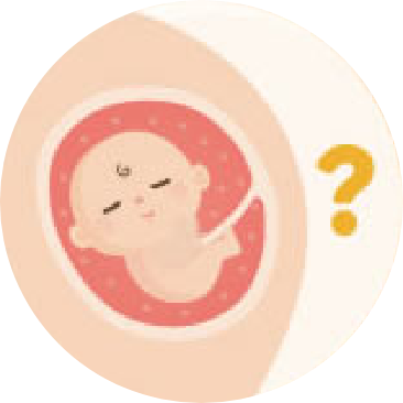 懷孕中期怎麼吃?-懷孕中期飲食原則是什麼?