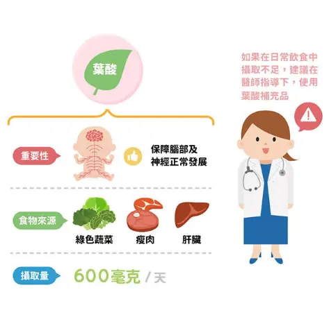 葉酸是什麼? 為什麼每個人都說孕婦要吃葉酸？葉酸是孕婦必備營養