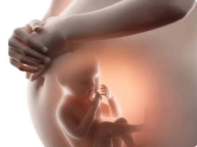 DHA是寶寶發展重要營養素，媽媽在孕期補充DHA，有助於寶寶學習發展